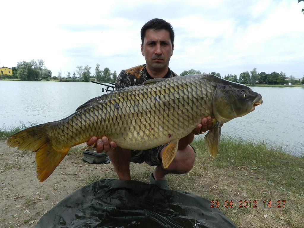 FOTO CARPFISHING - raul-266.JPG
